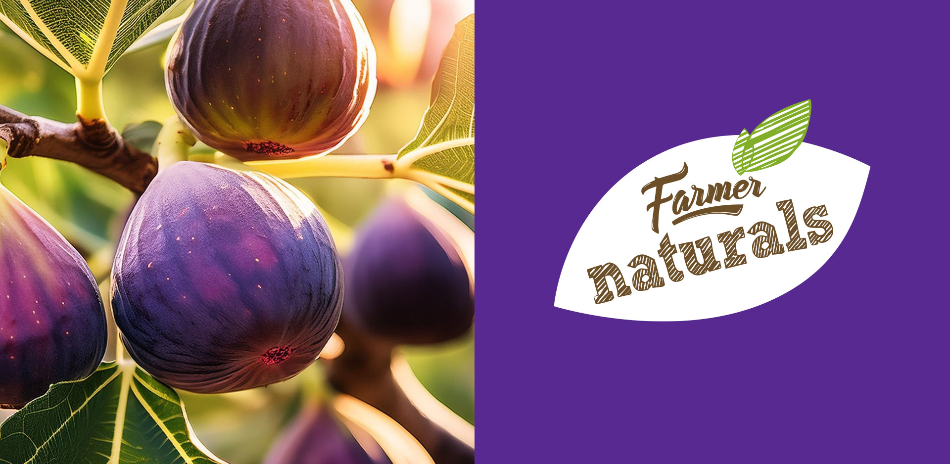 work-farmernaturals-logo-feigen-desktop